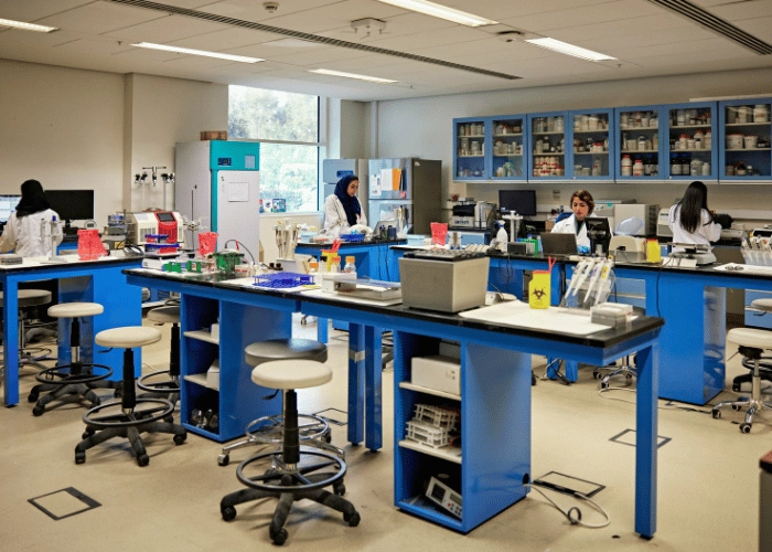 Housewives Re-entering Workforce